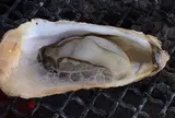 海辺のほったて小屋