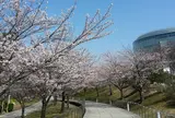 白山公園