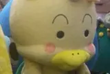 八尾市