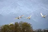 五頭温泉郷