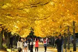 学びの森