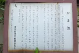 がま池
