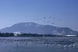 佐潟公園