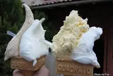 トゥエル