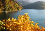 奥多摩湖 Okutama Lake