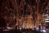 SENDAI 光のページェント/1日目