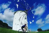 オリーブ公園 ギリシャ風車