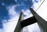 向山橋