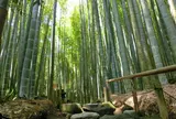 報国寺（竹寺）