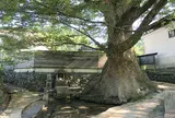 けやき水源