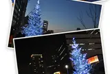 中之島にぎわいの森✖️ドリカム コラボイベント