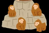 淡路島モンキーセンター