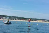 リアルハンモック