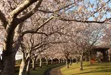 瀬戸公園