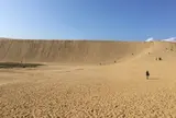 鳥取砂丘