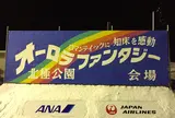 オーロラファンタジー