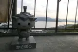 傘松公園