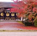醍醐寺三宝院の写真_205636