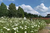 国営備北丘陵公園