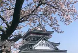 熱海城