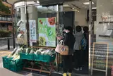 （株）羽床総本店 鎌倉駅西口店