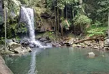 カーティス・フォールズ・ウォーキング・トラック Curtis Falls Walking Track