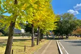 三之丸跡 堀之内公園