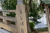 宇治橋