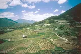 丸山千枚田