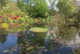 クロード・モネの庭園