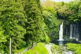 音止めの滝