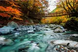 祖谷のかずら橋