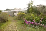 犬島くらしの植物園