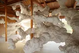 犬島「家プロジェクト」F邸