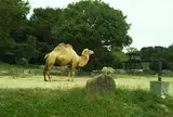 姫路セントラルパーク