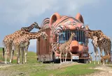 九州自然動物公園アフリカンサファリ