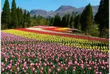 くじゅう花公園