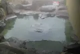 塚原温泉火口乃泉