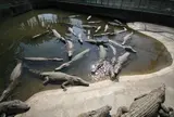 鬼山地獄