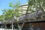 冬山車站（駅）