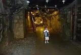 鯛生金山