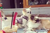 TAKE TOKYO