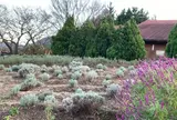香木の森公園