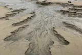 釜磯の湧水