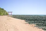 青島神社