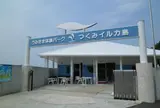 つくみイルカ島