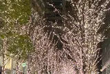 丸の内ストリートパーク　イルミネーション