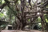東の御嶽（シヌグ堂）