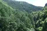 犬鳴山渓谷
