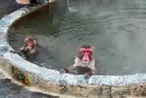 函館市熱帯植物園